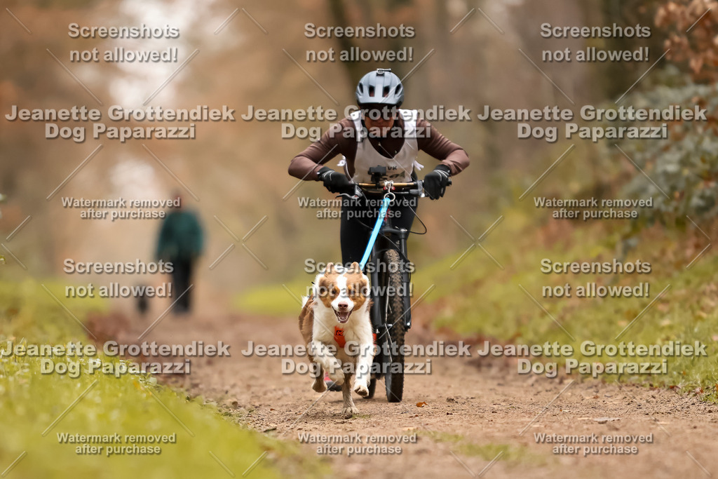 Dog Paparazzi - Speedhunter Mannheim  2025-435 | Dog Paparazzi Jeanette Grottendiek Fotografie & Videografie