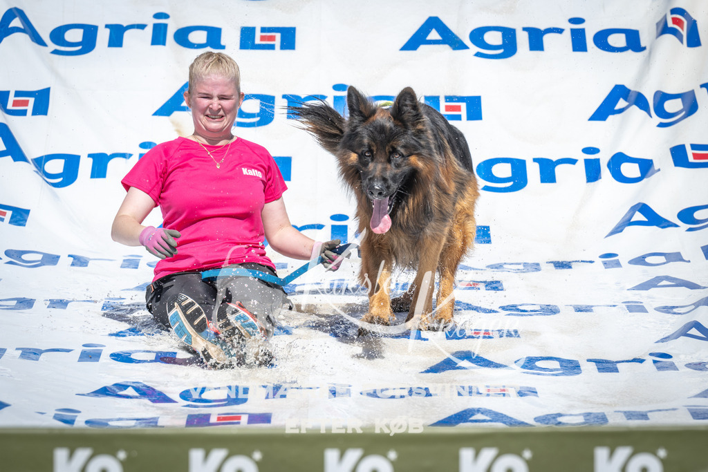 1430_ZZ94437 | kk-dogfotos