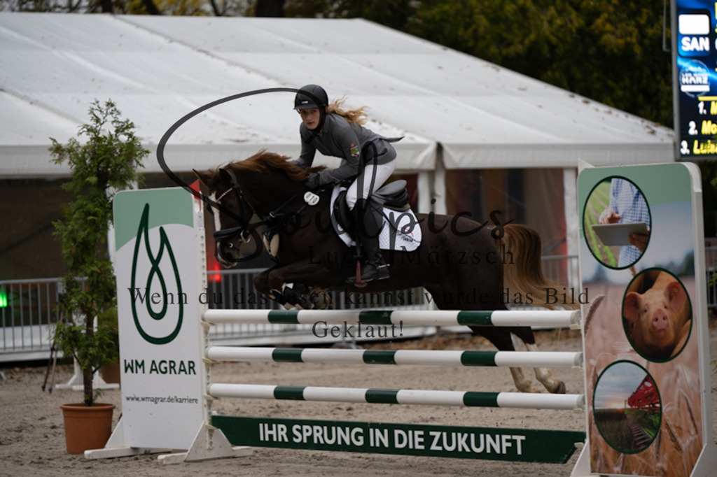 A7V00013 | Turnier/Reitfotograf