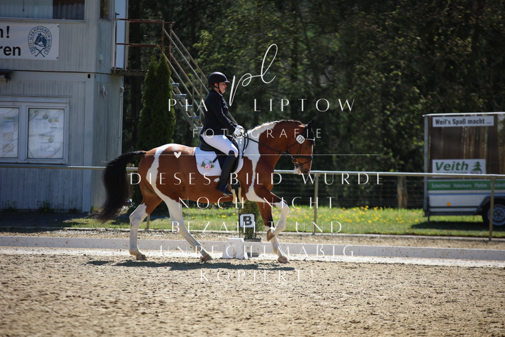 IMGT0984 | pl-fotografie