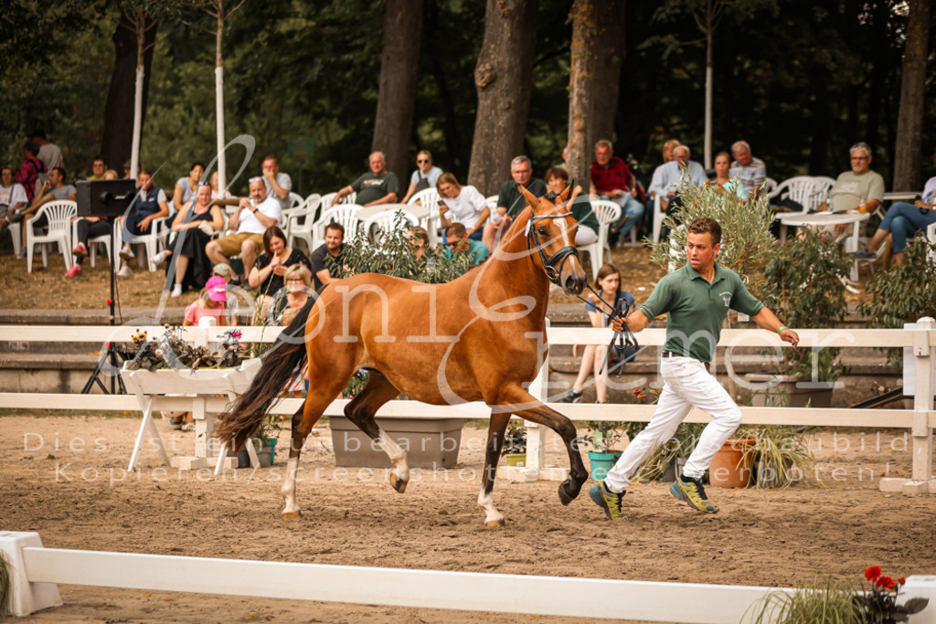 08.So00024 | Leoni Ertmer Photography - Realisiert mit Pictrs.com