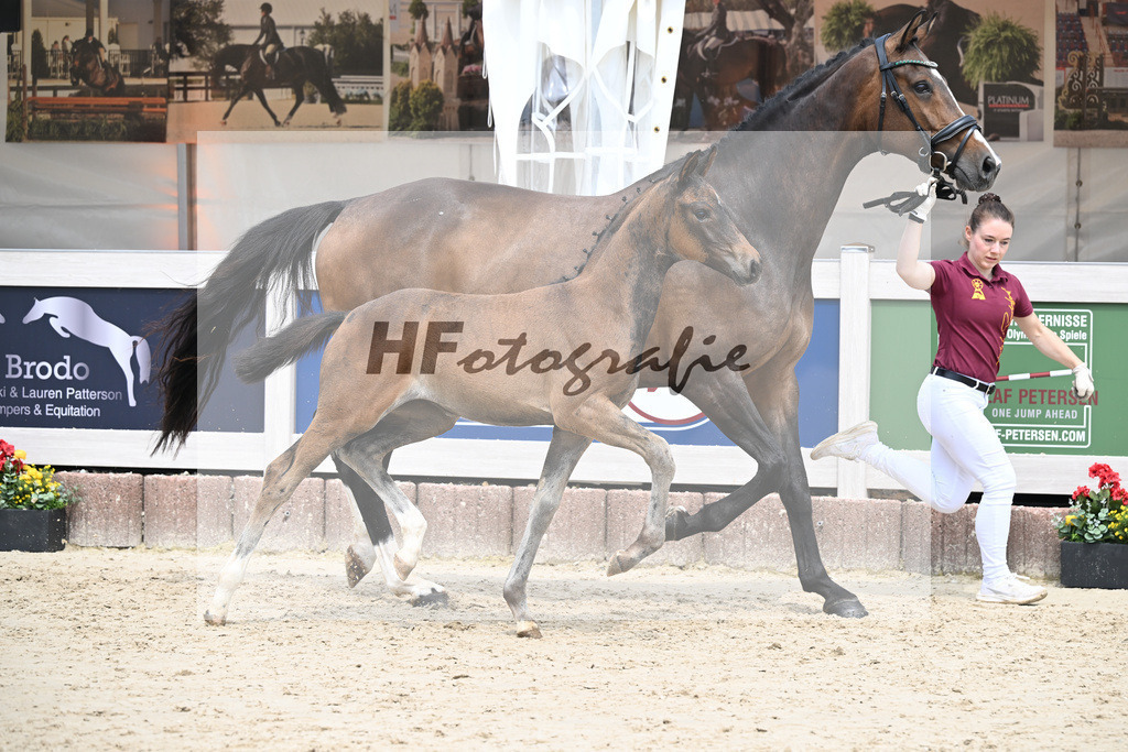 St. Emilion x Zoom_SF_Braig u Meyer_12250616 | hf-fotografie - Realisiert mit Pictrs.com