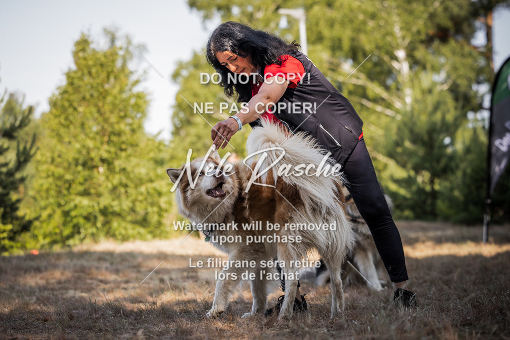 nelerasche_soDD1_97 | nelerasche