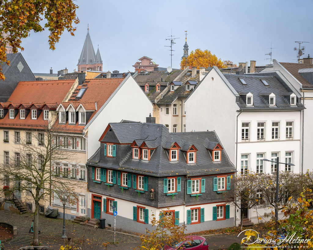 DSC_4311 2 | Fotografien, Fotos und Bilder aus Mainz, Frankfurt, Wiesbaden und anderen Orten auf der Welt - Fotografiert von Darius Metzner