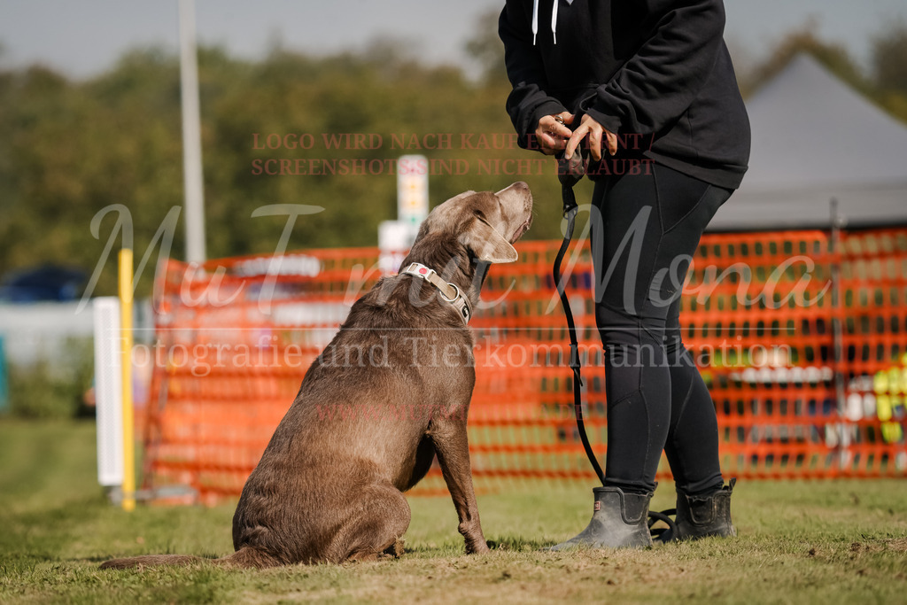 20250928_Hunderennen-406 | MuT (Mensch und Tier) mit Mona - Fotografie und Tierkommunikation - Realisiert mit Pictrs.com