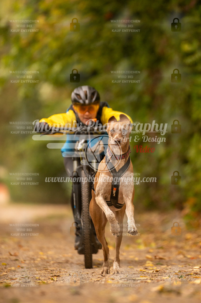 CDLBDB_14_10_2023_Samedi-159 | PayLife