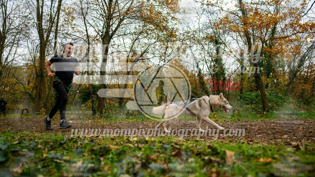 MompixPhotography_Bischwiller24_DI_CoursedeRelais-86 | PayLife