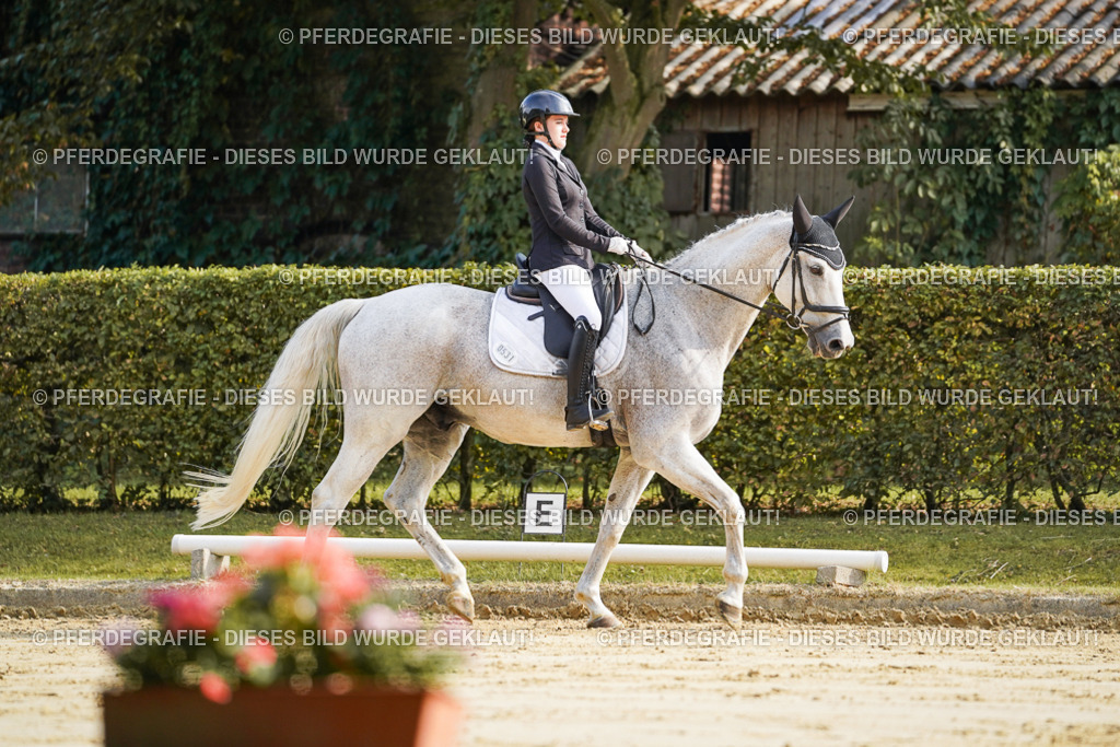 DSC05653 | Pferdegrafie