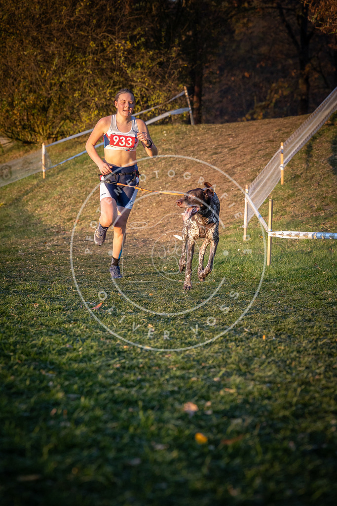 CaniXpix_0L8A1758 | Hundefotografie, Tierfotograf, Pfotenfotografie, Fotoshooting Hund, Hunde Portrait, Hundesport, Hundeportraits, Heideshooting, Hunde, Sportfotograf, Hundefotograf, Turnierhundsport, THS,  - Realisiert mit Pictrs.com