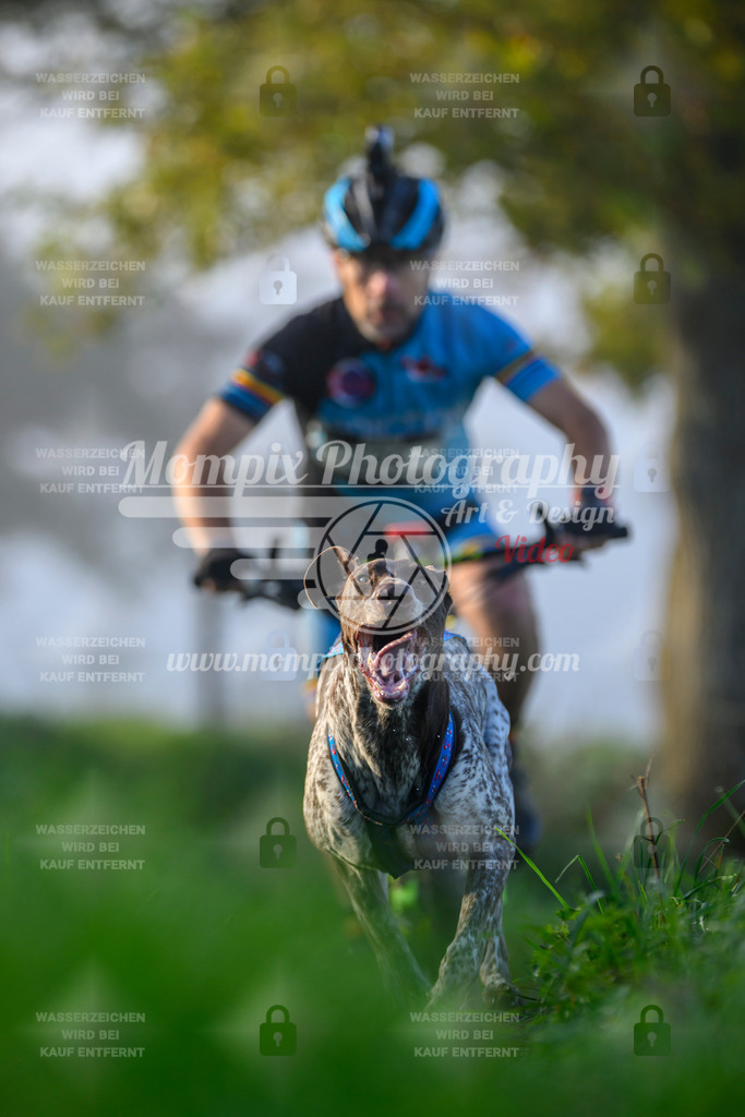 MompixPhotography_20TSB_E3_Bike-24 | PayLife