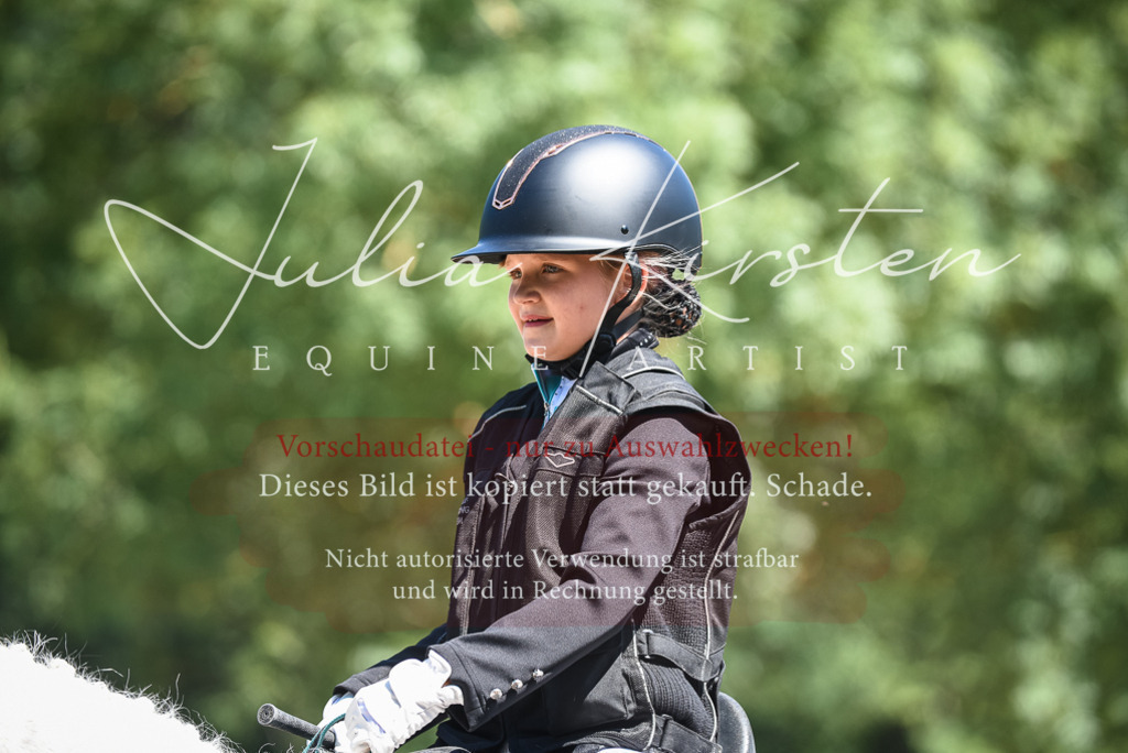 DSC_3146 | Pferde- und Turnierfotografie in Westsachsen. Pferdeportraits, Auftragszeichnungen und intuitive Kunst.