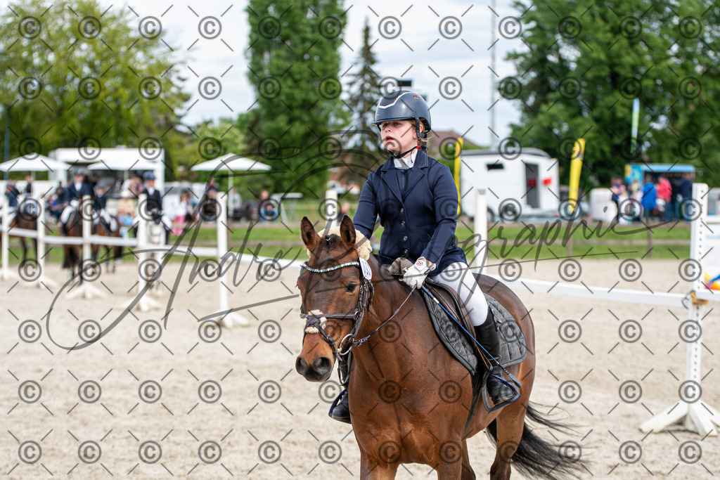 KPT_6010 | andre_photographic