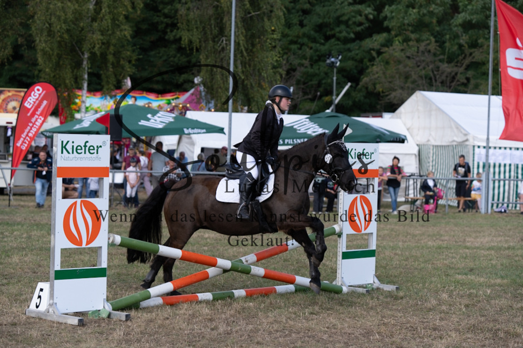 A7V08666 | Pferdefotograf