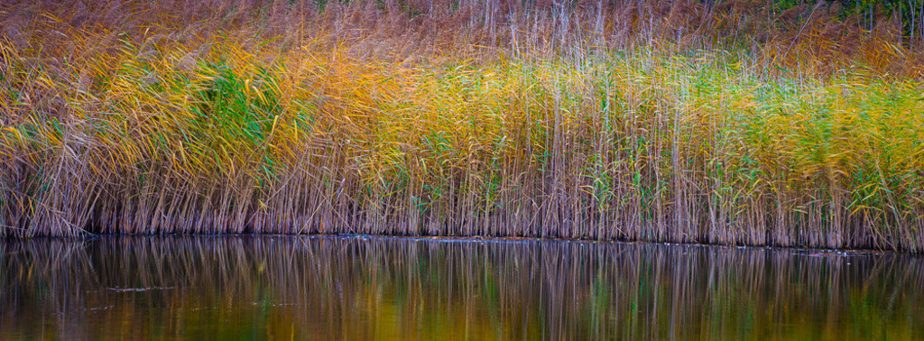 SilvanoPedrett_preview_Wasser-21 | silvanopedrett - Realisiert mit Pictrs.com