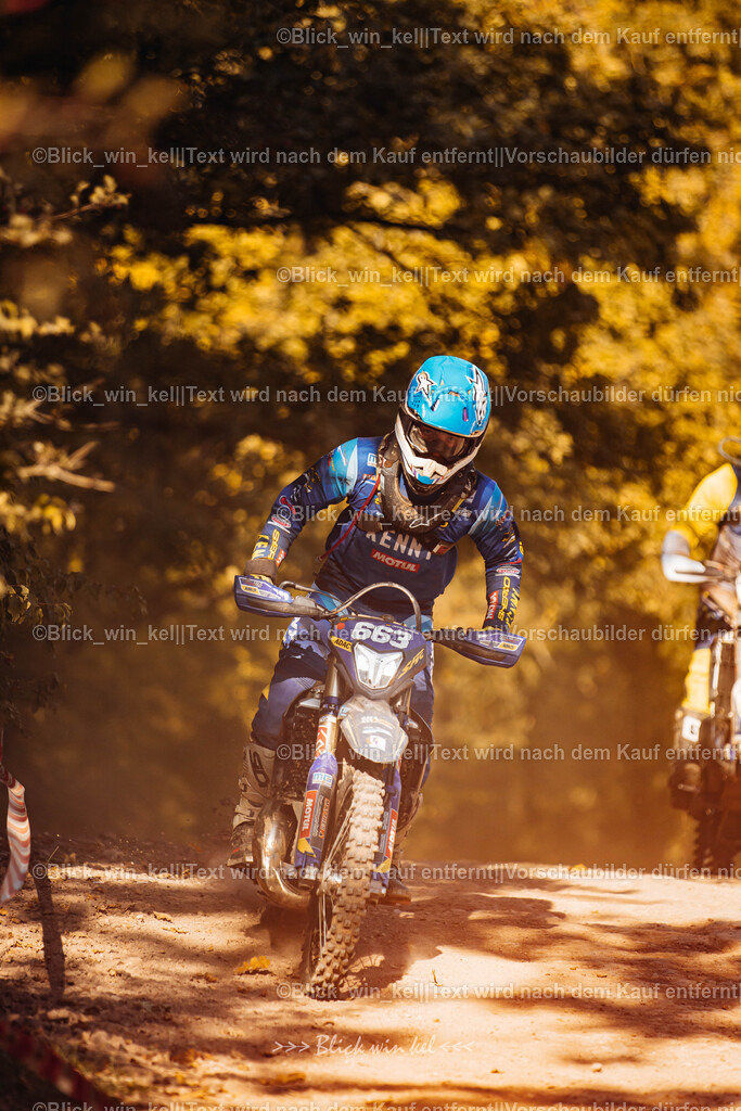 E68A7787 | blick_win_kel