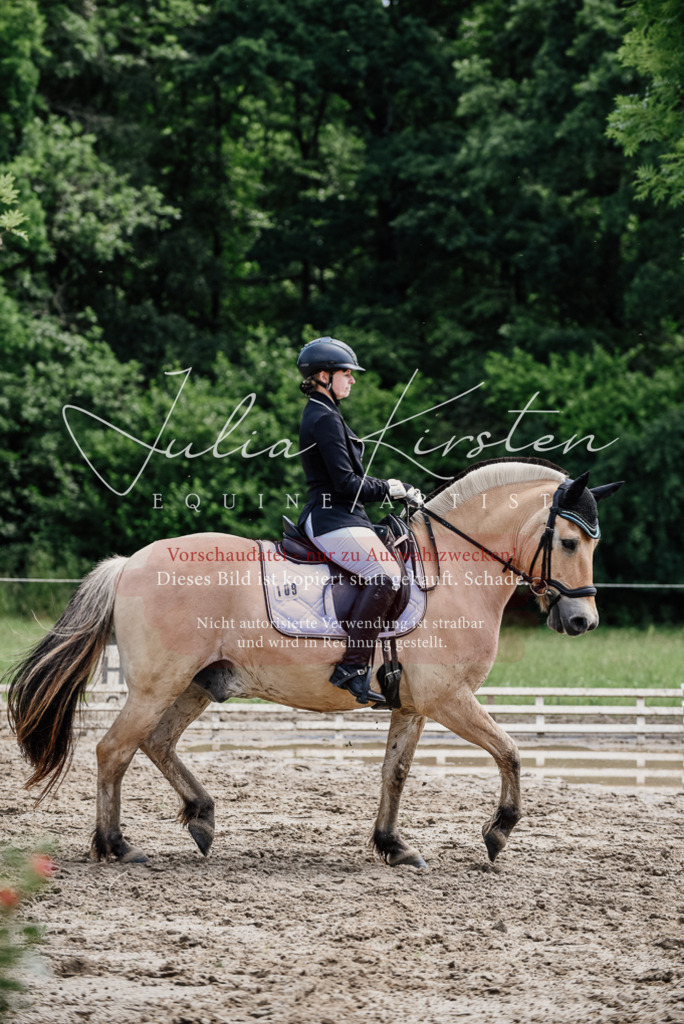 DSC_1623 | Pferde- und Turnierfotografie in Westsachsen. Pferdeportraits, Auftragszeichnungen und intuitive Kunst.