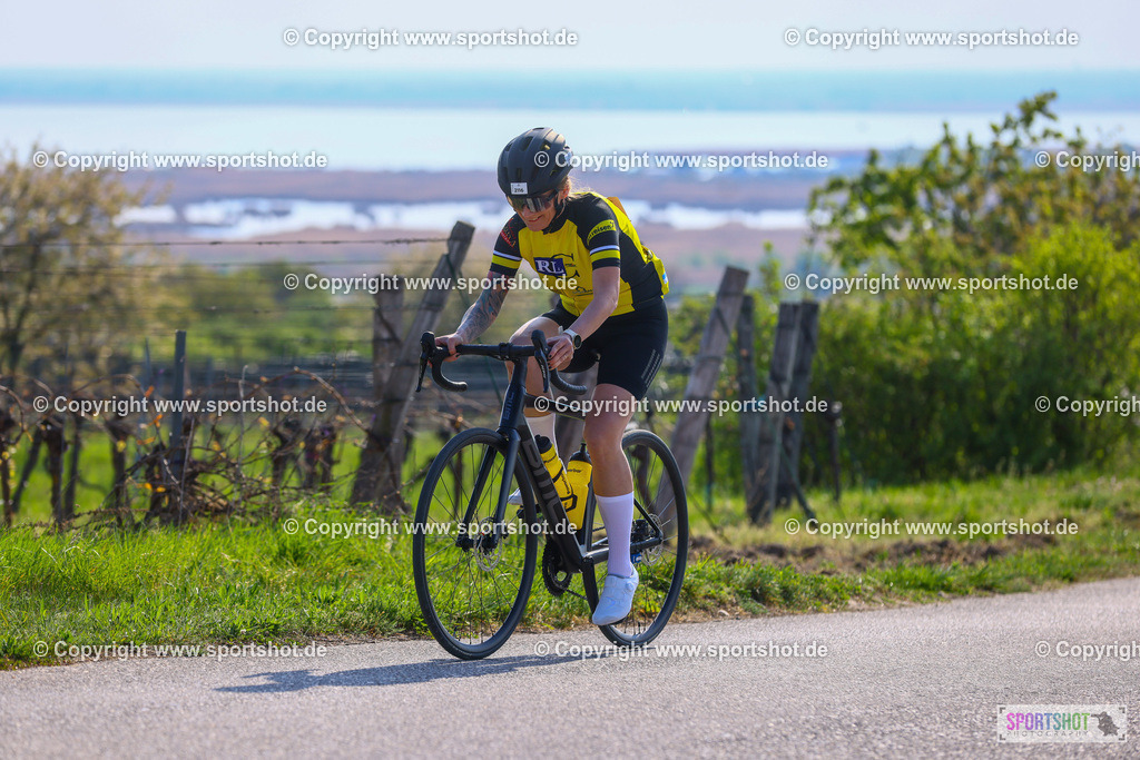 TRA_0394 | Neusiedlersee Radmarathon 2026@sportshot_your_pictrs #yourpictures#roadtowm2029 #nrm #neusiedlerseeradmarathon #neusiedlersee #neusiedlerseetourismus #burgenland #mörbisch #nrm26 #burgenlandtourismus #voglundco #poweredbyburgenlandtourismus #radsport #rad #marathon #ucigranfondo #visitburgenland #ucigranfondoworldseries