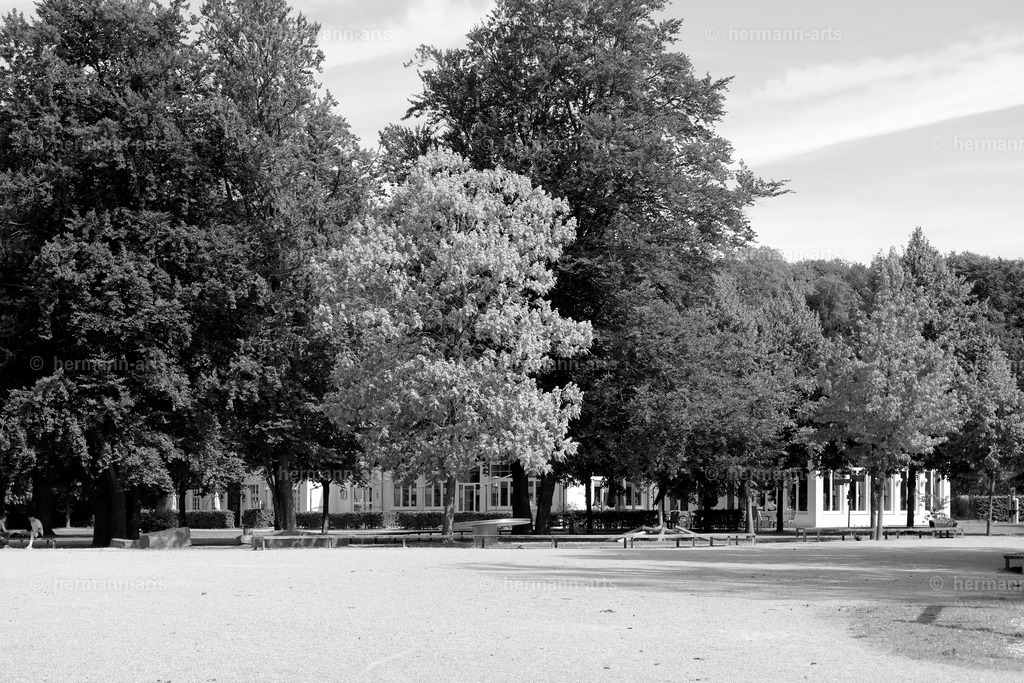 Bagno_09_07_24_DPP-7a | Photo Foto Kunst Art schwarzweiss Bilder Rheine Münster Berlin Blumen 