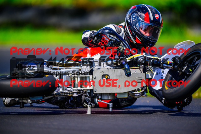 MaZZes_FotoMatrix_240723_6007705_0721 | SSP600