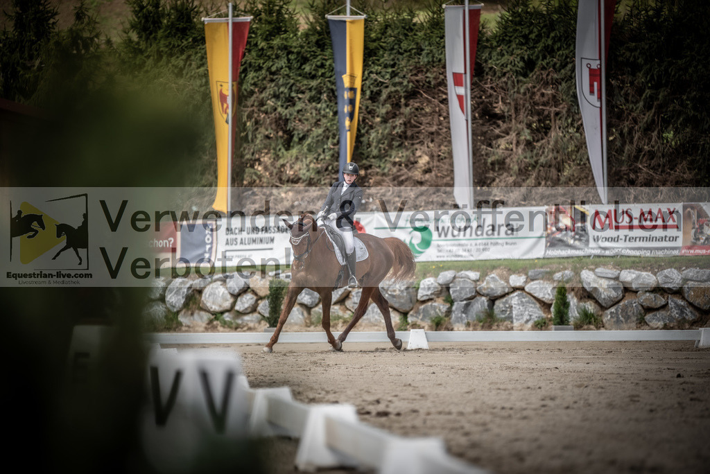 DSC_2853 | equestrian-live-com