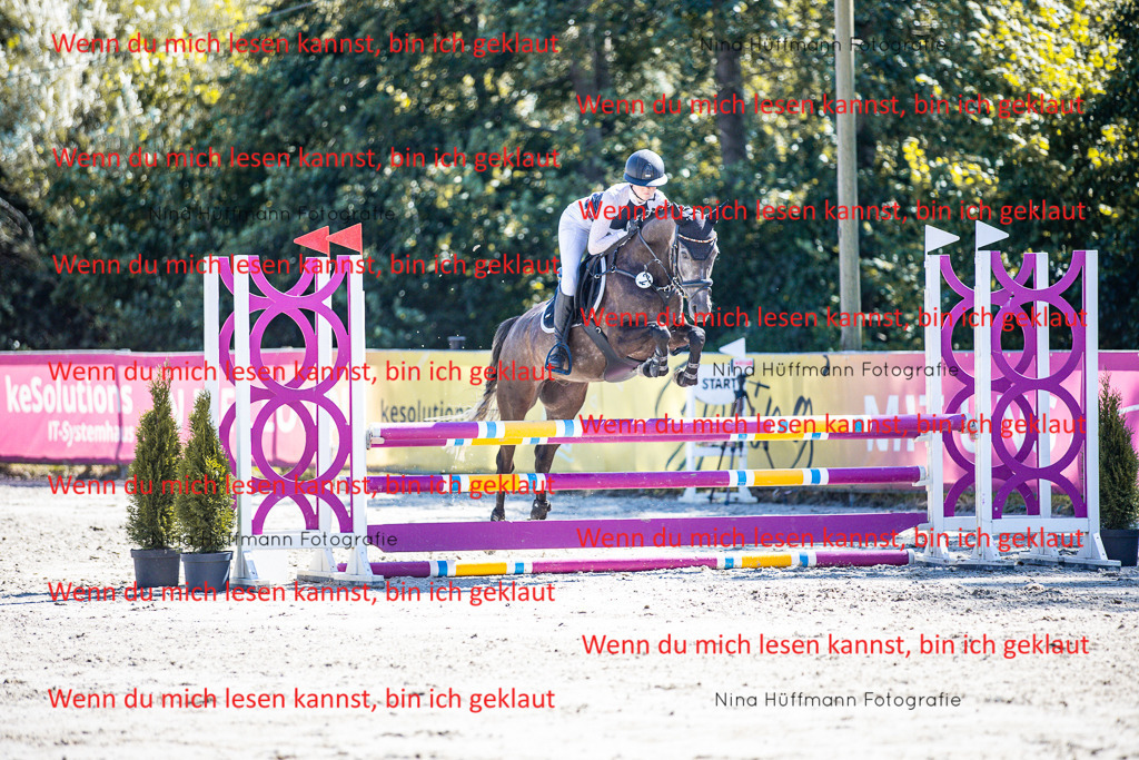 BK1A5611 | Turnierbilder Turnierfotos Nina Hüffmann Turnierfotografie Pferdefotografie Tierzeichnung Haustierzeichnung Pferdezeichnung Hundezeichnung Videograf  - Realisiert mit Pictrs.com