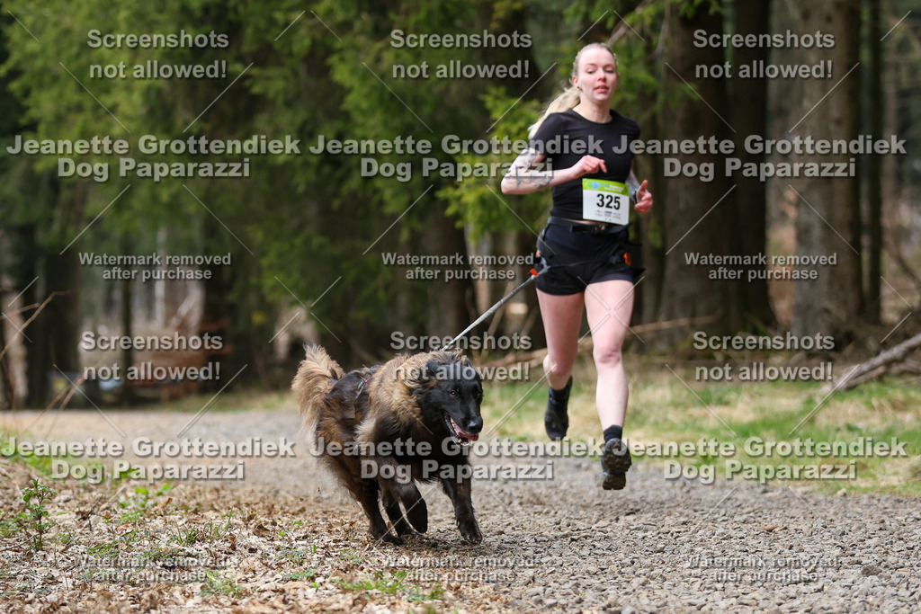 Dog Paparazzi - VCC26-452 | Dog Paparazzi Jeanette Grottendiek Fotografie & Videografie - Realisiert mit Pictrs.com