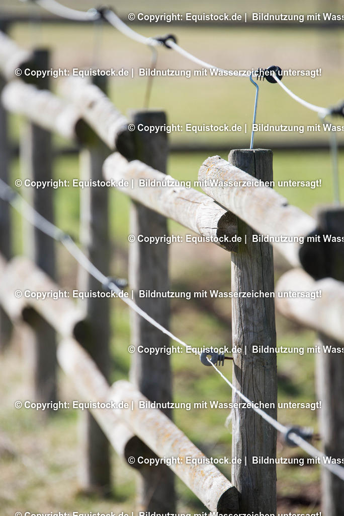 20170312_Koppelzaun_0001 | equistock