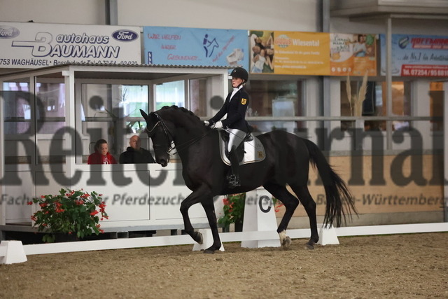 Waghäusel-Wiesental_2024_Prfg.Nr.08_1.WP_U25_Mia Rohm_Nymphenburgs Disco Fox (5) | Alle Fotos der Reiterjournal Fotografin Doris Matthaes im Reiterjournal Online-Fotoshop. - Realisiert mit Pictrs.com