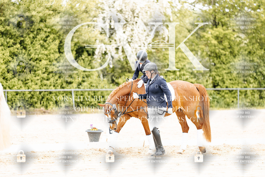 CK903731 | Turnierfotografie Pferdefotografie Trier Rheinland-Pfalz Pferdesport Reitsport Tierfotografie Sportfotografie Pferdevideo Pferdevideografie Equestrianvideography equestrianphotography  - Realisiert mit Pictrs.com