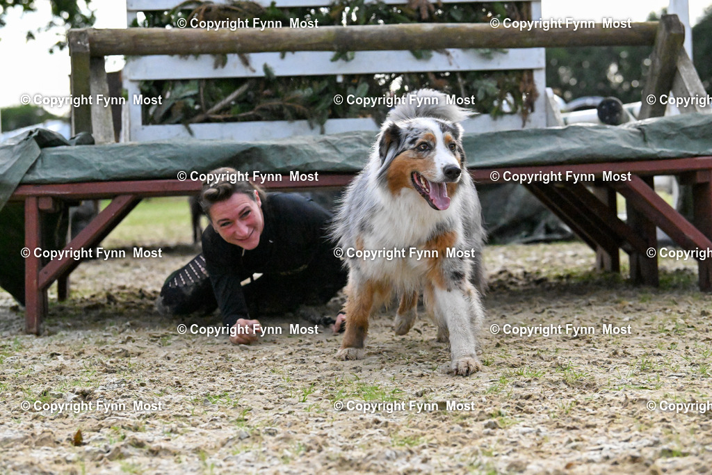 DSC_4550 | Hallo und herzlich Willkommen auf meiner Shop-Seite Fynn Most.

Ich wünsche Dir viel Spaß beim stöbern durch die Bilder, wenn Du Fragen hast oder Bilder vermisst, kannst du mir gerne eine Nachricht schreiben. - Realisiert mit Pictrs.com