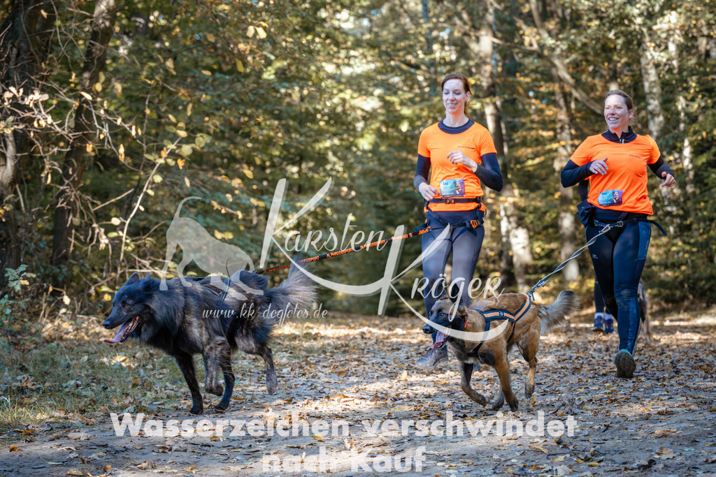 1117_ZZ91889 | kk-dogfotos