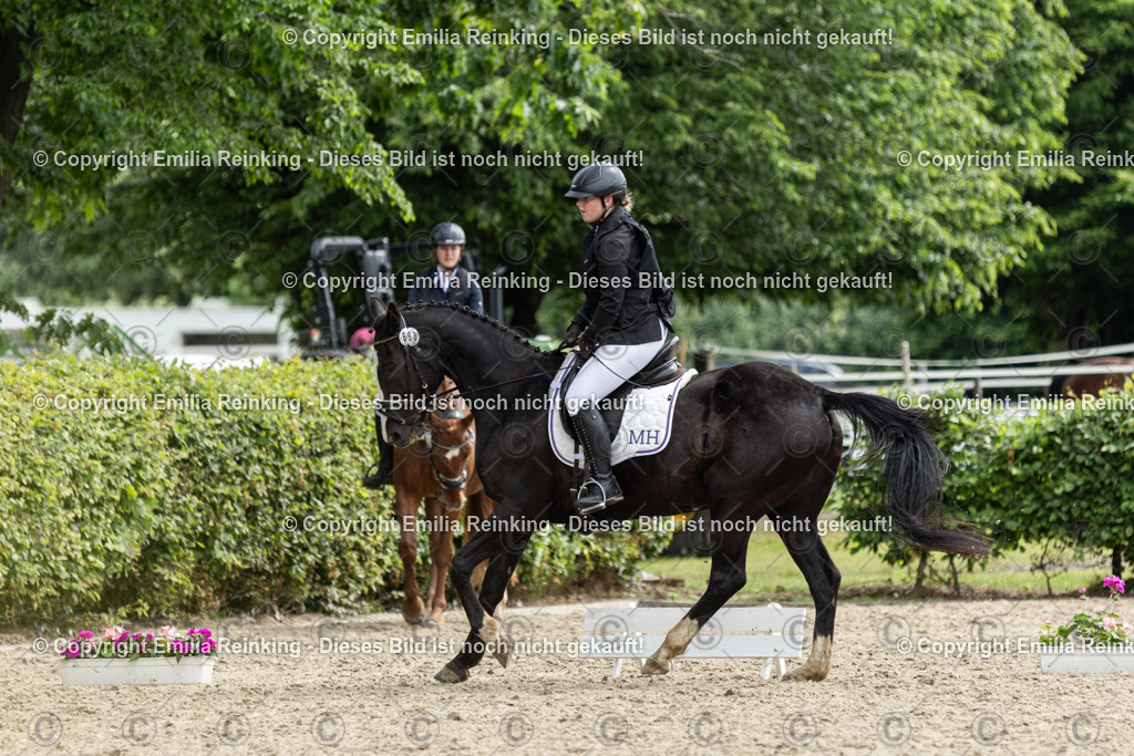 CL5A6900 | Emilia Reinking Fotografie - Realisiert mit Pictrs.com