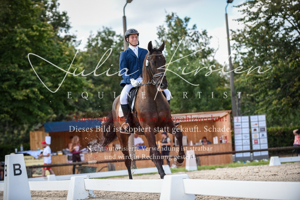 DSC_9201 | Pferde- und Turnierfotografie in Westsachsen. Pferdeportraits, Auftragszeichnungen und intuitive Kunst.
