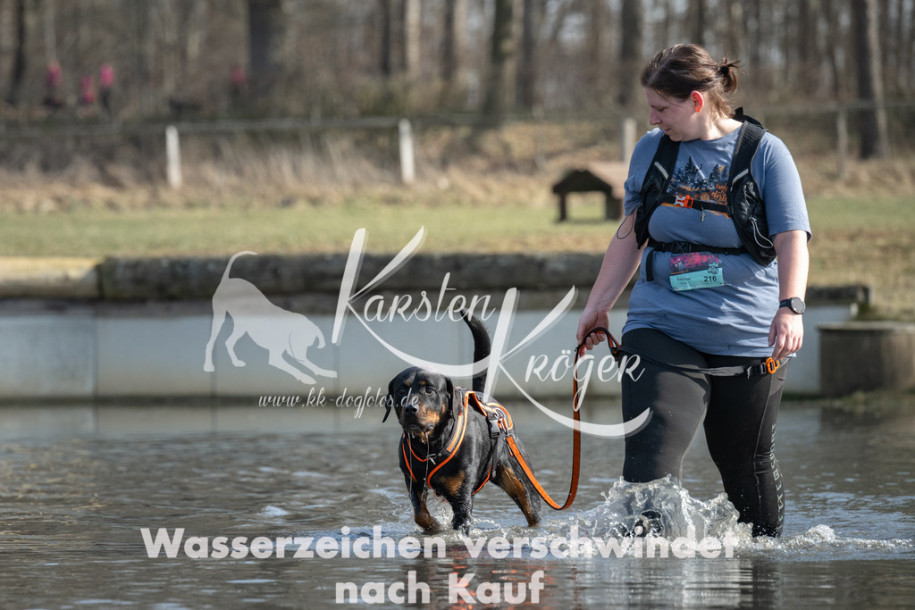 1331_ZZ96770 | kk-dogfotos