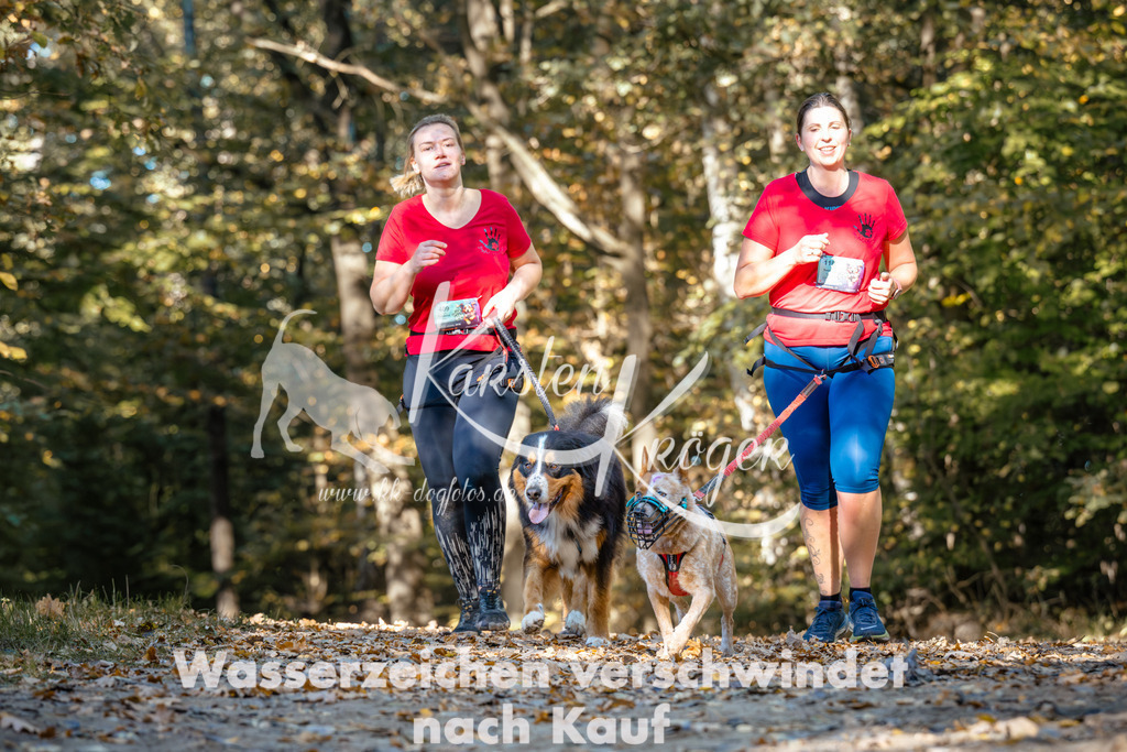 1132_ZZ92658 | kk-dogfotos