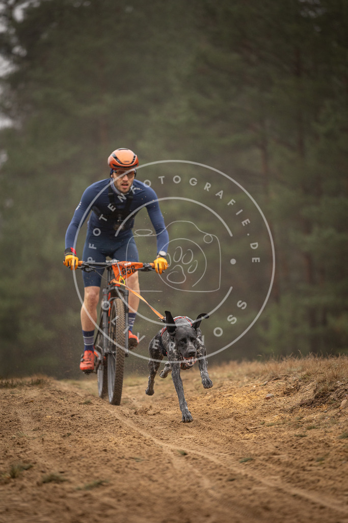 Pfotenfotografie_DV3A2411 | Hundefotografie, Tierfotograf, Pfotenfotografie, Fotoshooting Hund, Hunde Portrait, Hundesport, Hundeportraits, Heideshooting, Hunde, Sportfotograf, Hundefotograf, Turnierhundsport, THS,  - Realisiert mit Pictrs.com