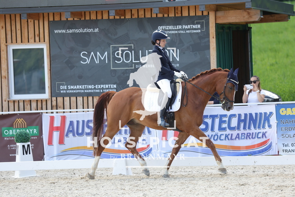0P6A1533 | Willkommen bei Brunnmayr - Design & Fotografie – Ihrem Spezialisten für Reitturniere und Pferdeveranstaltungen in Oberösterreich, Salzburg und Bayern! Seit über 17 Jahren sind wir leidenschaftlich dabei.