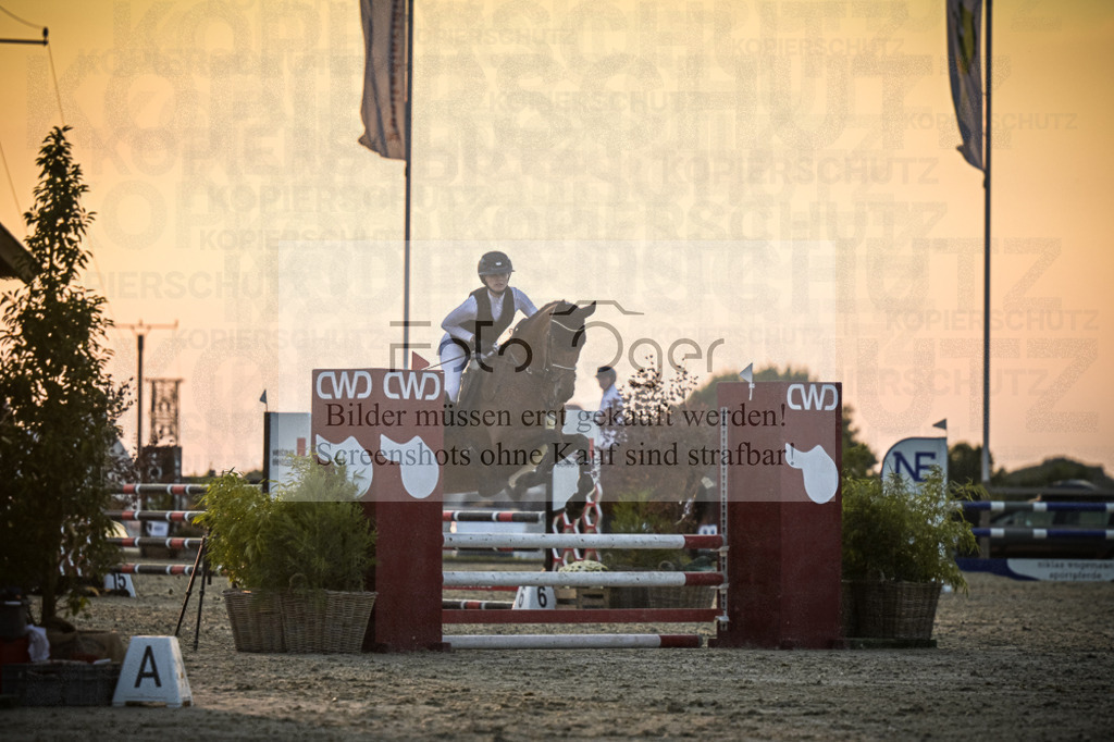 DOS_2181 | Entdecke hochwertige Reitturnierfotos von Foto Oger. Professionell, emotional und authentisch – jetzt Lieblingsmomente im Shop bestellen.Deutschlandweite Turnierfotografie. - Realisiert mit Pictrs.com