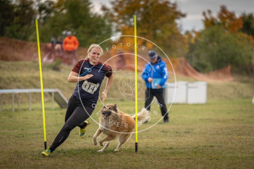 Pfotenfotografie_DV3A6888 | Hundefotografie, Tierfotograf, Pfotenfotografie, Fotoshooting Hund, Hunde Portrait, Hundesport, Hundeportraits, Heideshooting, Hunde, Sportfotograf, Hundefotograf, Turnierhundsport, THS,  - Realisiert mit Pictrs.com