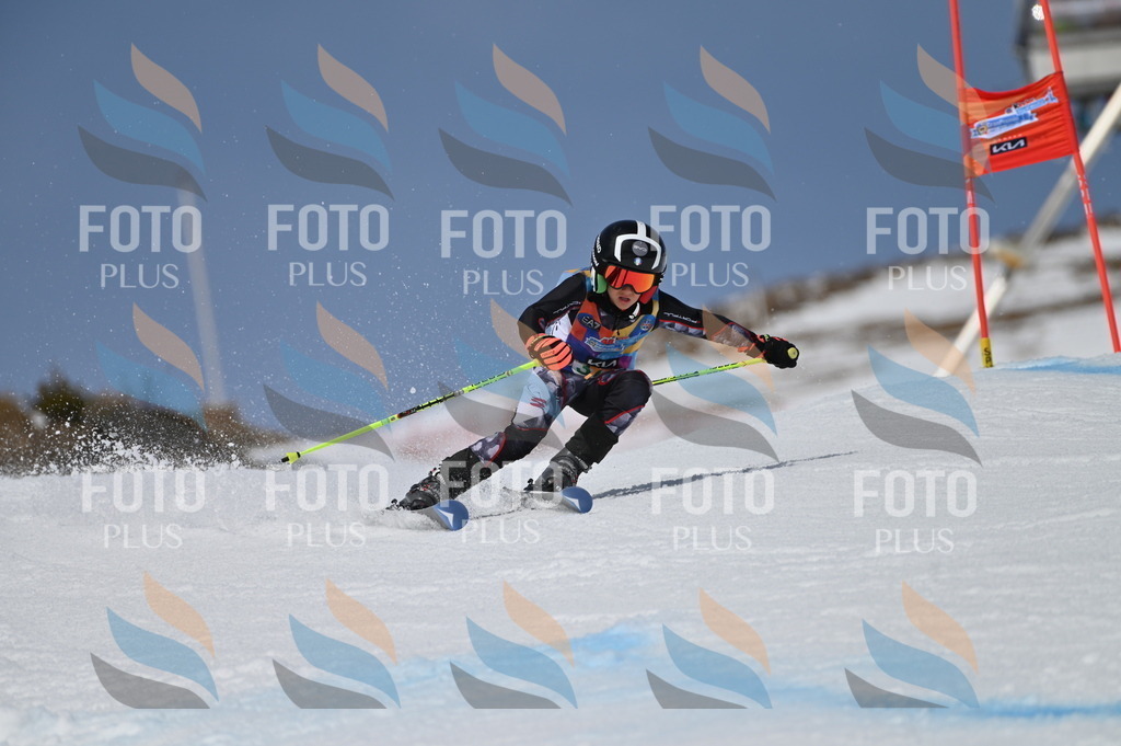 BGV_7364 | holidayphoto