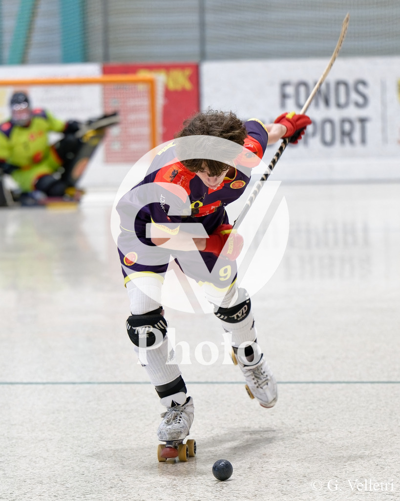 DSC_6272 | Velletri Photo