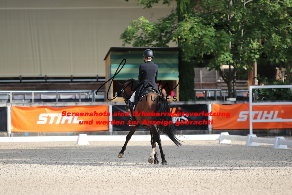 IMG_1034 | lmwpictures - Realisiert mit Pictrs.com