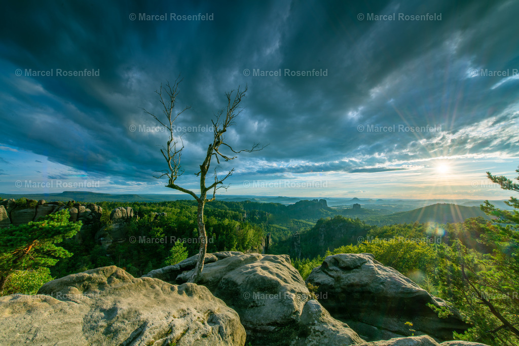 _DSC7473-HDR | foto-rosenfeld