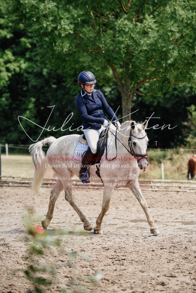 DSC_1802 | Pferde- und Turnierfotografie in Westsachsen. Pferdeportraits, Auftragszeichnungen und intuitive Kunst.