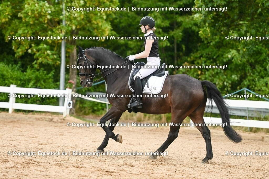 20230716_01_Dressurprüfung Kl.M_0467 | equistock