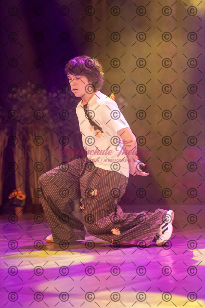 Ballettaufführung-1533 | Bildershop Lem'n Entertainment - Realisiert mit Pictrs.com