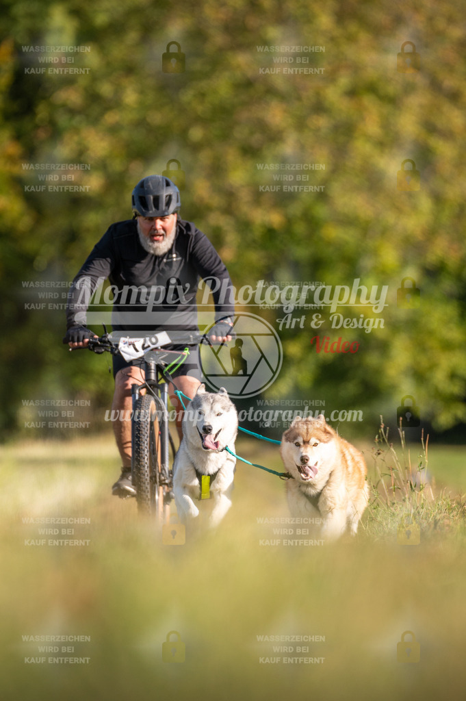 CDLBDB_15_10_2023_Dimanche-337 | mompixphotography