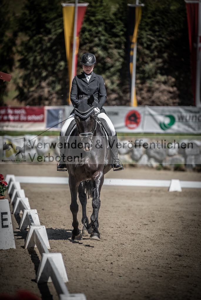 DSC_0141 | equestrian-live-com