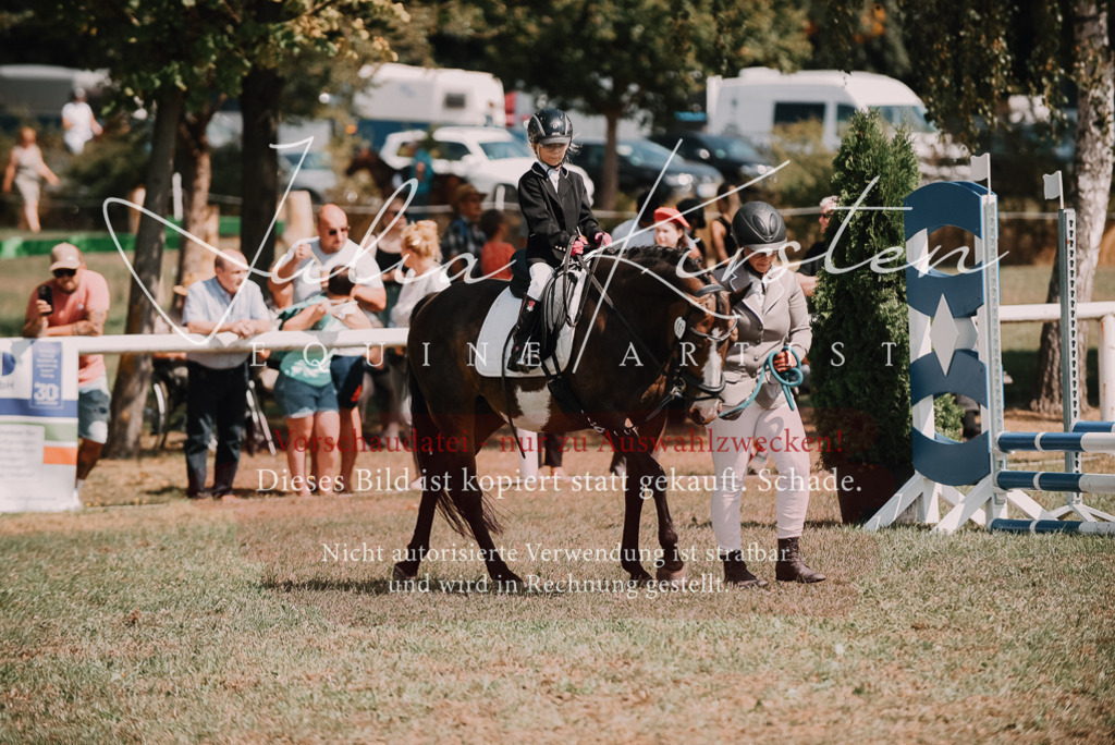 DSC_6044 | Pferde- und Turnierfotografie in Westsachsen. Pferdeportraits, Auftragszeichnungen und intuitive Kunst.