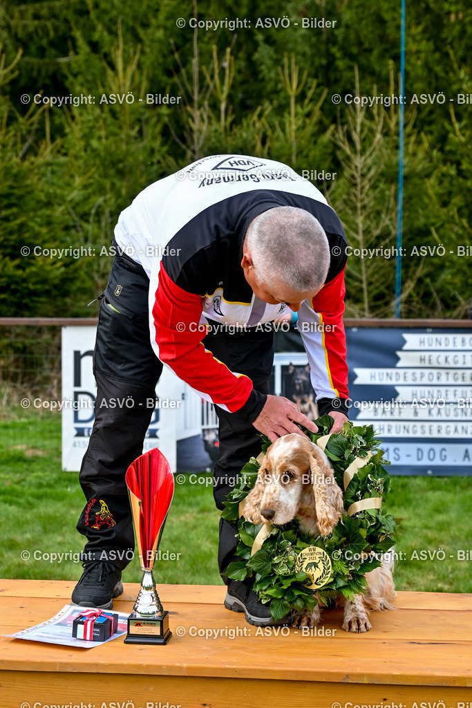 ASVÖ_ Tracking Dog World Championship 2025_ 05.04.2025-196 | bilder.asvo-sport - Realisiert mit Pictrs.com